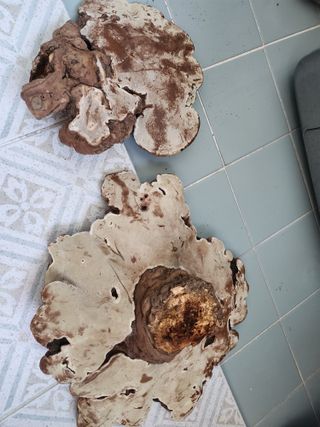 오미자청가공판매님의 기타작물 · 영농일지 작성글 사진