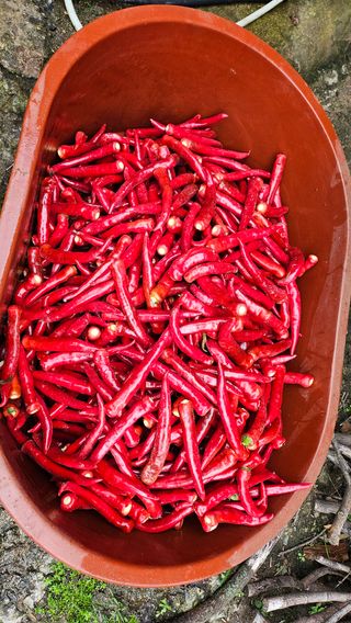 변영수 님의 자유주제 · 자유게시판 작성글 사진