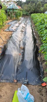 팜모닝 자유주제·자유게시판 게시글 이미지