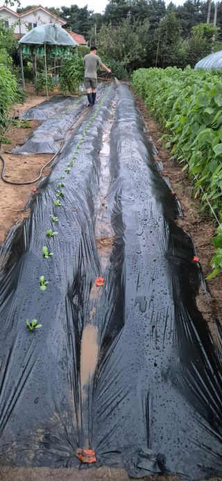 김혜순님의 자유주제 · 자유게시판 작성글 사진