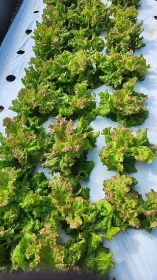 소리사랑 박주현님의 자유주제 · 자유게시판 작성글 사진