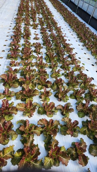 소리사랑 박주현님의 자유주제 · 자유게시판 작성글 사진