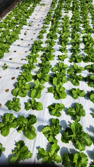 소리사랑 박주현님의 자유주제 · 자유게시판 작성글 사진