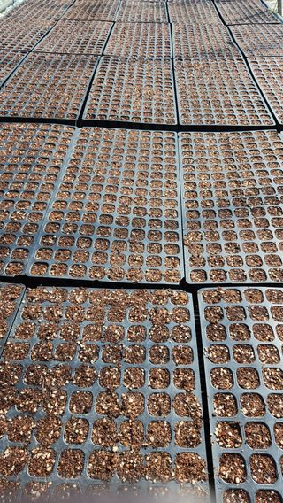 소리사랑 박주현님의 자유주제 · 자유게시판 작성글 사진