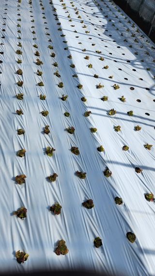 소리사랑 박주현님의 자유주제 · 자유게시판 작성글 사진