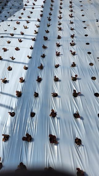 소리사랑 박주현님의 자유주제 · 자유게시판 작성글 사진