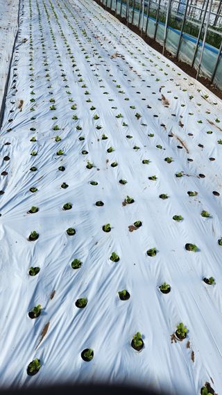 소리사랑 박주현님의 자유주제 · 자유게시판 작성글 사진