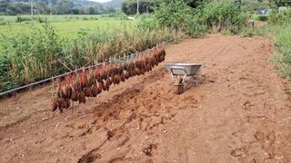 김영택님의 자유주제 · 자유게시판 작성글 사진