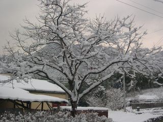 SHS님의 💚우리 동네 자랑하기 · 참여글 작성글 사진