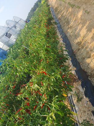 블루베리14534님의 자유주제 · 자유게시판 작성글 사진