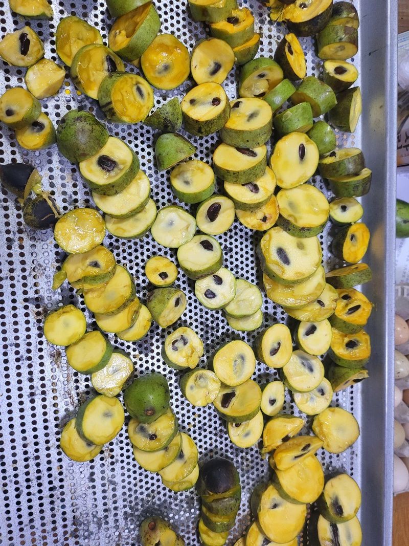 장금이1님의 장터 판매 상품 [포포열매말림용 ] 첨부 사진