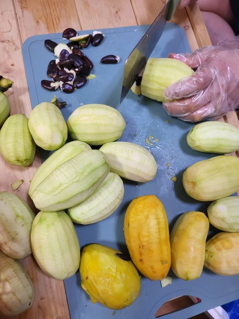 장금이1님의 장터 판매 상품 [포포열매말림용 ] 첨부 사진