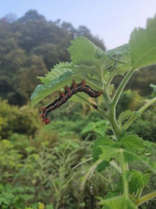 조수철님의 자유주제 · 자유게시판 작성글 사진