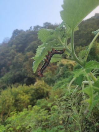 조수철님의 자유주제 · 자유게시판 작성글 사진