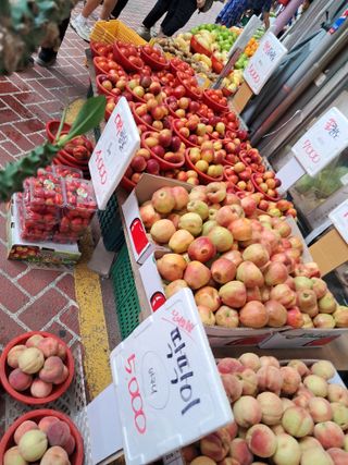 최한기님의 💚우리 동네 자랑하기 · 참여글 작성글 사진