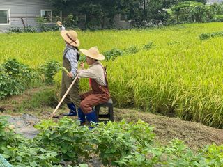 오작교농장님의 💚우리 동네 자랑하기 · 참여글 작성글 사진