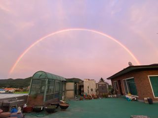 오작교농장님의 💚우리 동네 자랑하기 · 참여글 작성글 사진