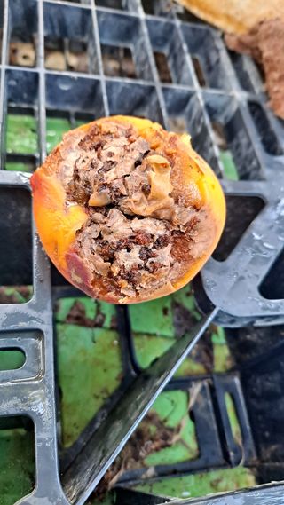 매실12249님의 복숭아 · 병해충상담 작성글 사진