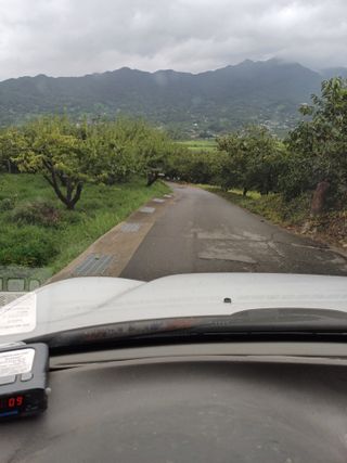 강뢰성님의 감 · 영농일지 작성글 사진