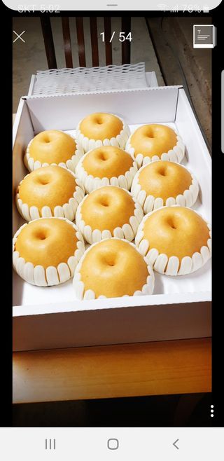 퍼피과수원님의 배 · 영농일지 작성글 사진