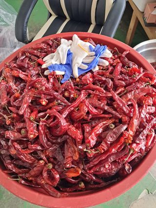 예산 촌딱 농부님의 자유주제 · 자유게시판 작성글 사진