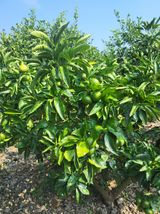 팜모닝 자유주제·사진전 게시글 이미지