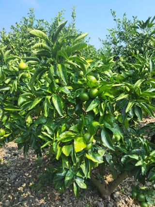 문광석님의 자유주제 · 사진전 작성글 사진