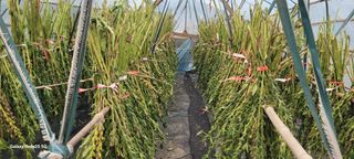 임락환님의 자유주제 · 자유게시판 작성글 사진