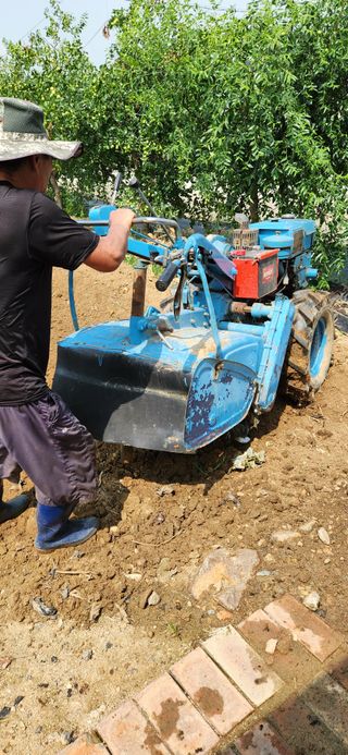 강병택님의 배추 · 영농일지 작성글 사진