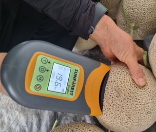 알 수 없음님의 작성글 사진