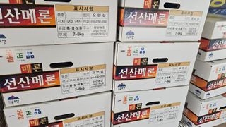 알 수 없음님의 작성글 사진