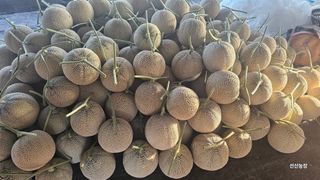 알 수 없음님의 작성글 사진