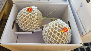 알 수 없음님의 작성글 사진