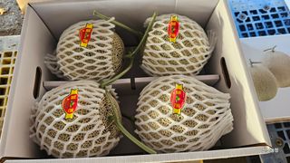 알 수 없음님의 작성글 사진