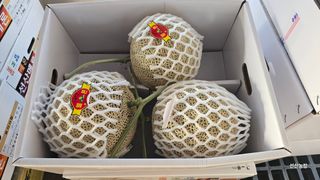 알 수 없음님의 작성글 사진