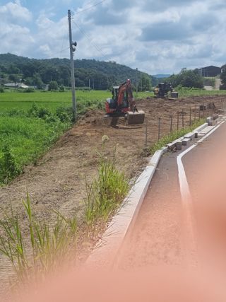 블루베리,구기자,님의 블루베리 · 자유게시판 작성글 사진