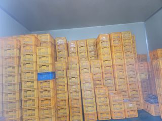 서동일님의 농사, 무엇이든 물어보세요! · 참여글 작성글 사진