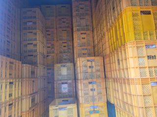 서동일님의 농사, 무엇이든 물어보세요! · 참여글 작성글 사진