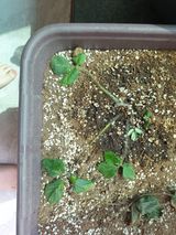 팜모닝 자유주제·자유게시판 게시글 이미지