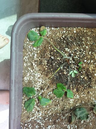 빵또리님의 자유주제 · 자유게시판 작성글 사진