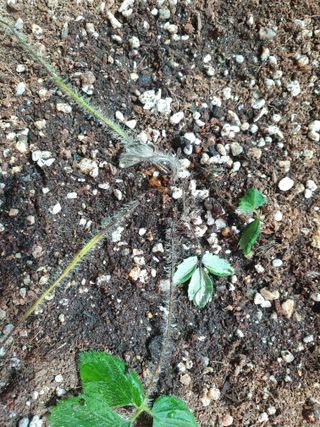 빵또리님의 자유주제 · 자유게시판 작성글 사진