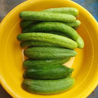 인생은 소풍처럼님의 자유주제 · 자유게시판 작성글 사진