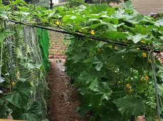 인생은 소풍처럼님의 자유주제 · 자유게시판 작성글 사진