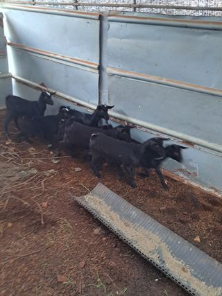 김석현님의 자유주제 · 자유게시판 작성글 사진