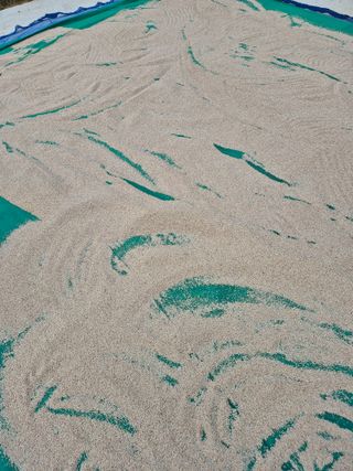 김연숙님의 참깨 · 영농일지 작성글 사진