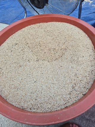 김연숙님의 참깨 · 영농일지 작성글 사진