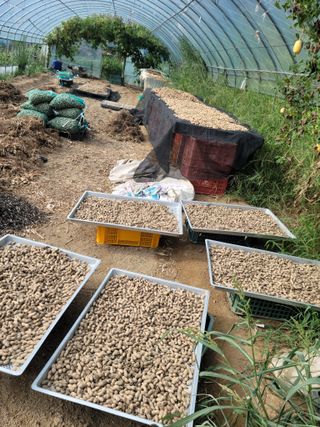 다소농원님의 자유주제 · 자유게시판 작성글 사진