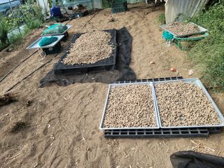 다소농원님의 자유주제 · 자유게시판 작성글 사진