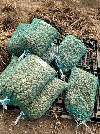 다소농원님의 자유주제 · 자유게시판 작성글 사진