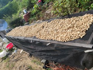 다소농원님의 자유주제 · 자유게시판 작성글 사진